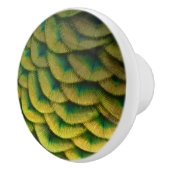 Pfauenfeathers II Farbenfrohe Natur Keramikknauf (Rechts)