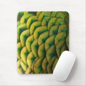 Pfauenfeathers II Farbenfrohe Natur Mousepad (Mit Mouse)