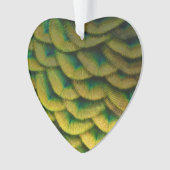 Pfauenfeathers II Farbenfrohe Natur Ornament (Vorderseite)