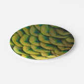Pfauenfeathers II Farbenfrohe Natur Pappteller (Schrägansicht)