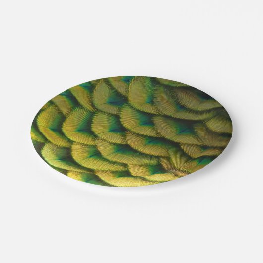Pfauenfeathers II Farbenfrohe Natur Pappteller (Schrägansicht)