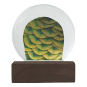 Pfauenfeathers II Farbenfrohe Natur Schneekugel (Rückseite)