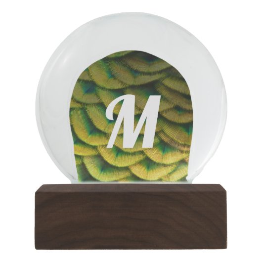 Pfauenfeathers II Farbenfrohe Natur Schneekugel (Vorderseite)