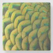 Pfauenfeathers II Farbenfrohe Natur Steinuntersetzer (Vorderseite)