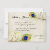 Pfauenfeathers laden Save the Date Karten ein (Rückseite)