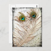 PfauenFeathers Postkarte (Vorne/Hinten)
