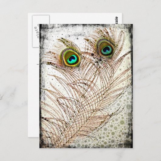 PfauenFeathers Postkarte (Vorne/Hinten)