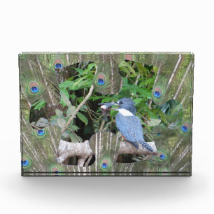 Pfauenfeathers Puzzle Piece Foto Block