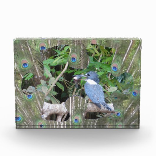 Pfauenfeathers Puzzle Piece Foto Block (Vorderseite)