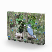 Pfauenfeathers Puzzle Piece Foto Block (Rechts)