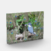 Pfauenfeathers Puzzle Piece Foto Block (Links)