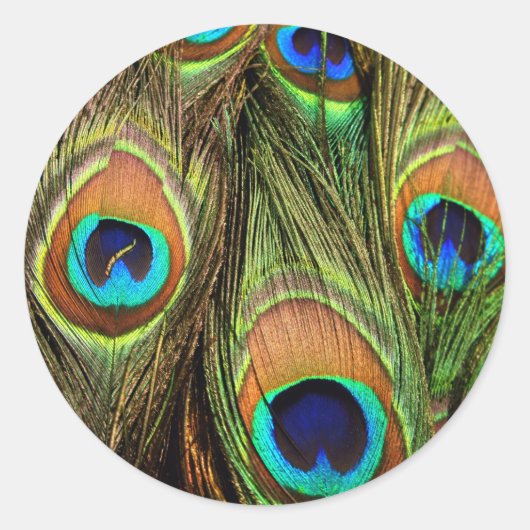 PfauenFeathers Round Stickers (Vorderseite)