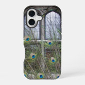 Pfauenfeathers und gotische Windows iPhone 16 Hülle (Rückseite)