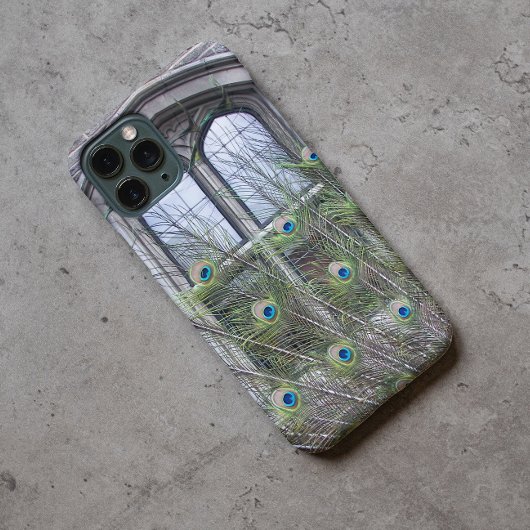 Pfauenfeathers und gotisches Windows-Foto Case-Mate iPhone Hülle