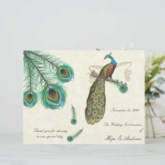 Pfauenfeathers Wedding Program on Damask (Stehend Vorderseite)