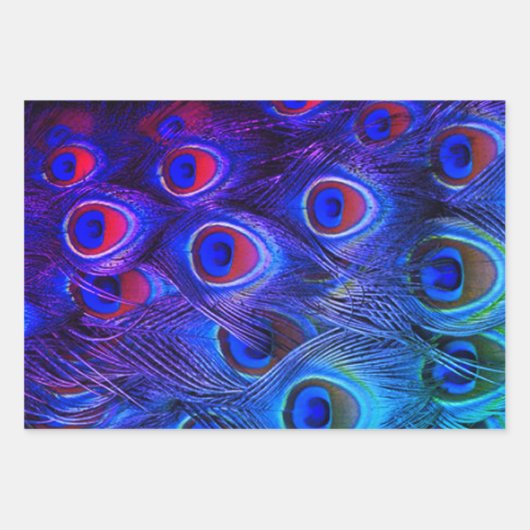 Pfauenfeathlon Geschenkpapier Set (Vorderseite 3)