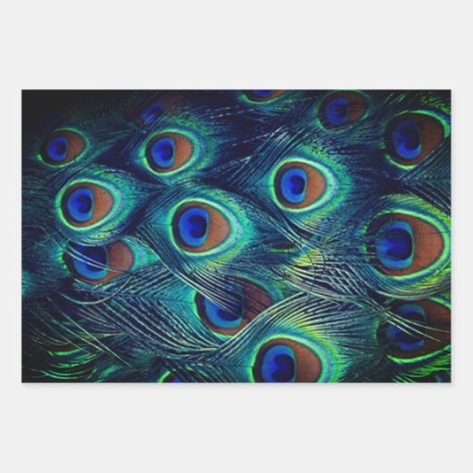 Pfauenfeathlon Geschenkpapier Set (Vorderseite)