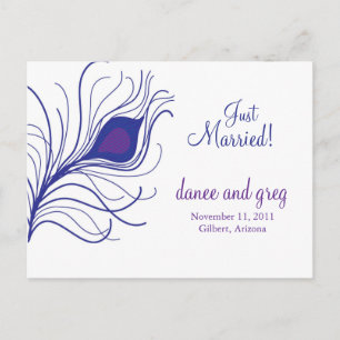 Pfauenfeder Ankündigungspostkarte