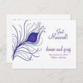 Pfauenfeder Ankündigungspostkarte (Vorne/Hinten)