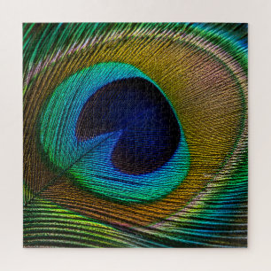 Pfauenfeder-Auge Puzzle