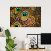 Pfauenfeder-Augen Poster (Heimbüro)