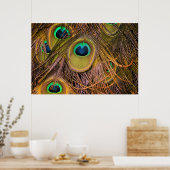 Pfauenfeder-Augen Poster (Küche)