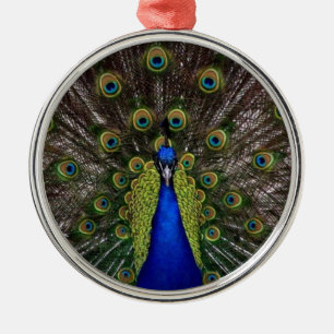 Pfauenfeder-Display-Foto Ornament Aus Metall