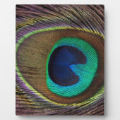 Pfauenfeder Fotoplatte (Vorderseite)