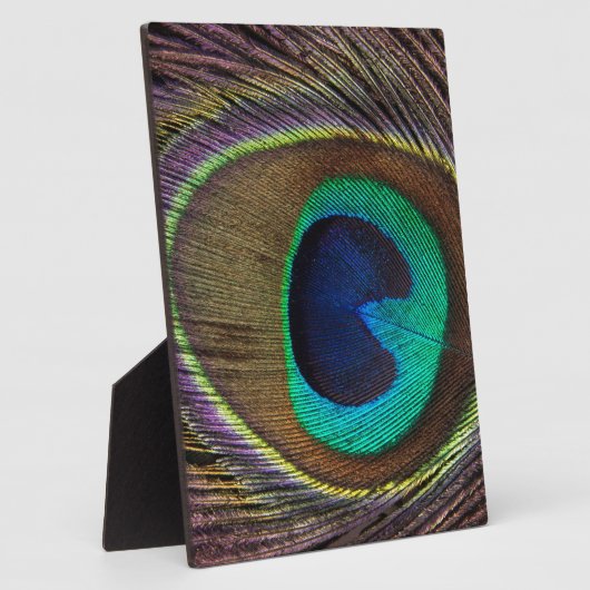 Pfauenfeder Fotoplatte (Seite)