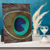 Pfauenfeder Fotoplatte (Seite)