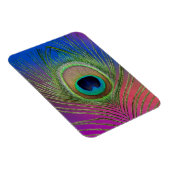 Pfauenfeder Magnet (Rechte Seite)