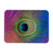 Pfauenfeder Magnet (Horizontal)