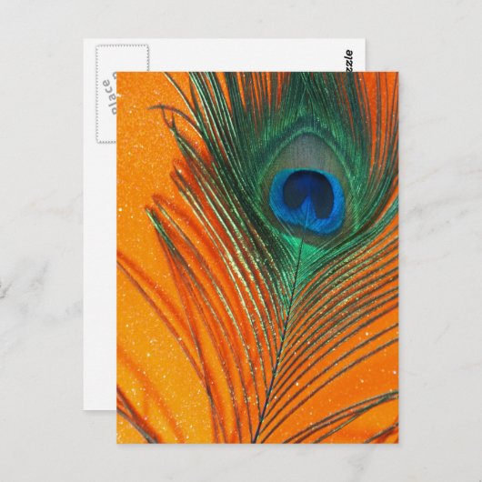 Pfauenfeder mit Orange Glitzer Still Life Postkarte (Vorne/Hinten)