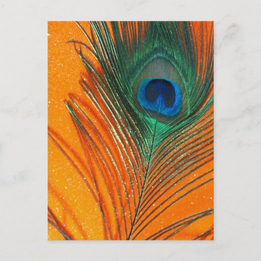 Pfauenfeder mit Orange Glitzer Still Life Postkarte (Vorderseite)