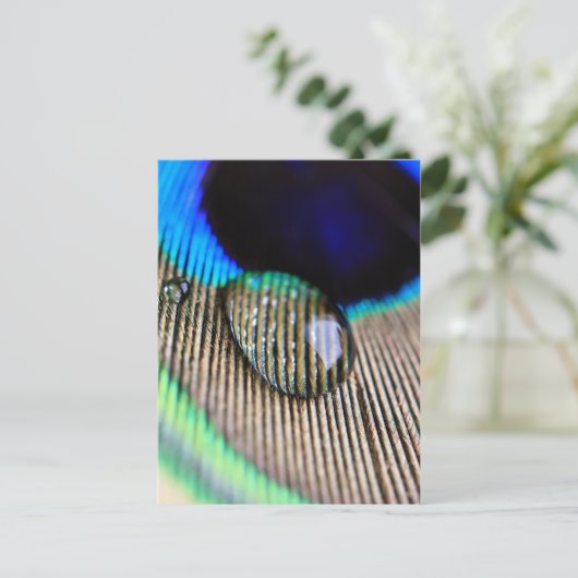 Pfauenfeder mit Wassertropfen Postkarte (Stehend Vorderseite)