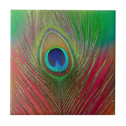 Pfauenfeder nah fliese (Vorderseite)