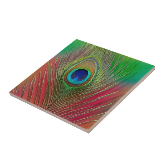 Pfauenfeder nah fliese (Seite)