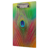 Pfauenfeder nah klemmbrett (Links)