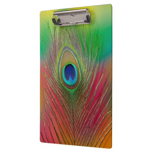 Pfauenfeder nah klemmbrett (Links)