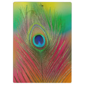 Pfauenfeder nah klemmbrett (Rückseite)