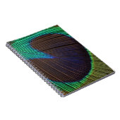 Pfauenfeder Notizblock (Rechte Seite)