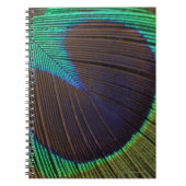 Pfauenfeder Notizblock (Vorderseite)