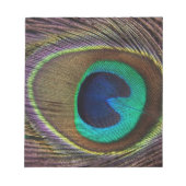 Pfauenfeder Notizblock (Vorderseite)