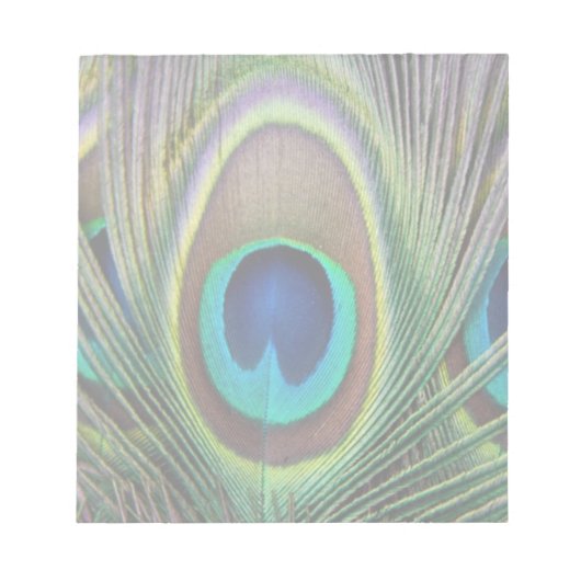 Pfauenfeder Notizblock (Vorderseite)