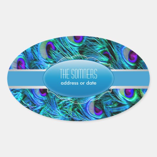 Pfauenfeder PixDezines Ovaler Aufkleber (Vorderseite)