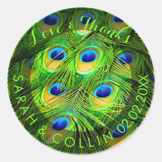 Pfauenfeder PixDezines Runder Aufkleber (Vorderseite)