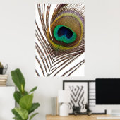 Pfauenfeder Poster (Heimbüro)