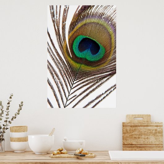 Pfauenfeder Poster (Küche)