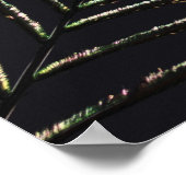 Pfauenfeder Poster (Ecke)