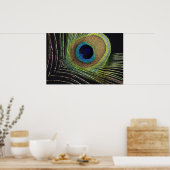 Pfauenfeder Poster (Küche)